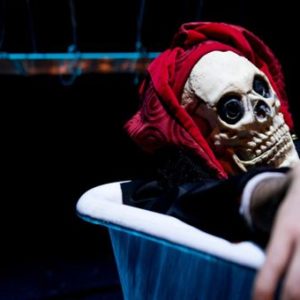 LEVIDELFOOL – Compagnia teatrale