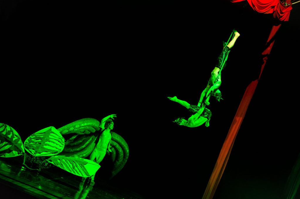 SONICS