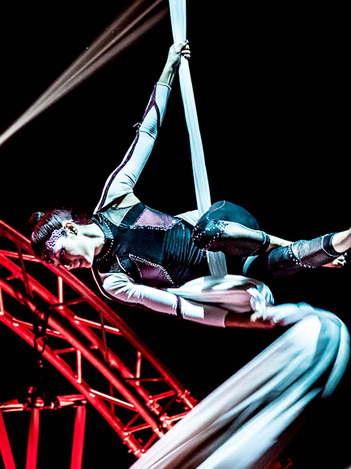 SONICS – acrobati volanti